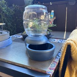 1 Gallon Replenish Water Bowl w/Filter