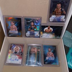 A Lot Of UFC Cards Signatures Patches And Numbers 
