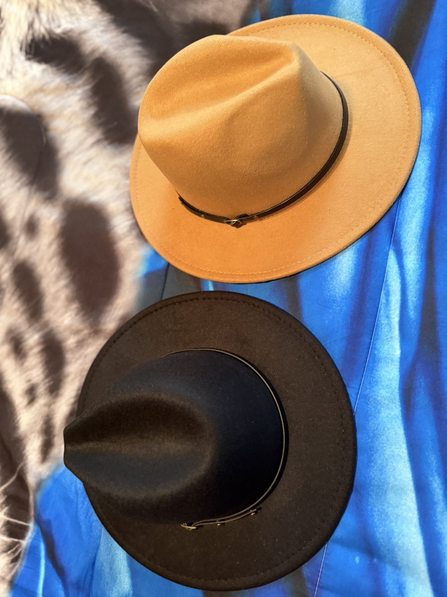 Fedora