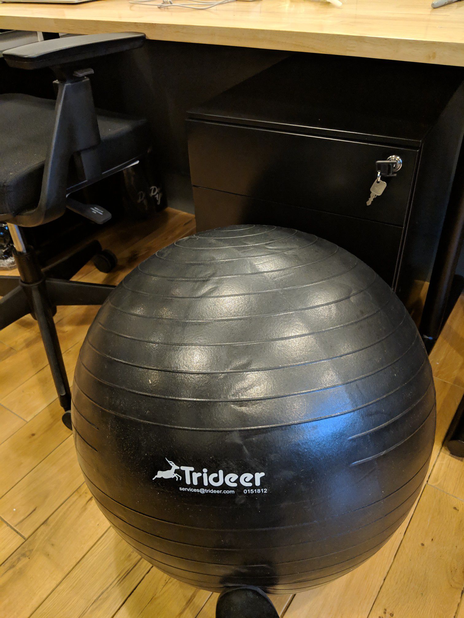 Brand NEW Exercise Ball (55cm)