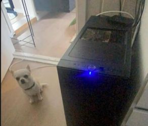 PC (ignore Pablo)