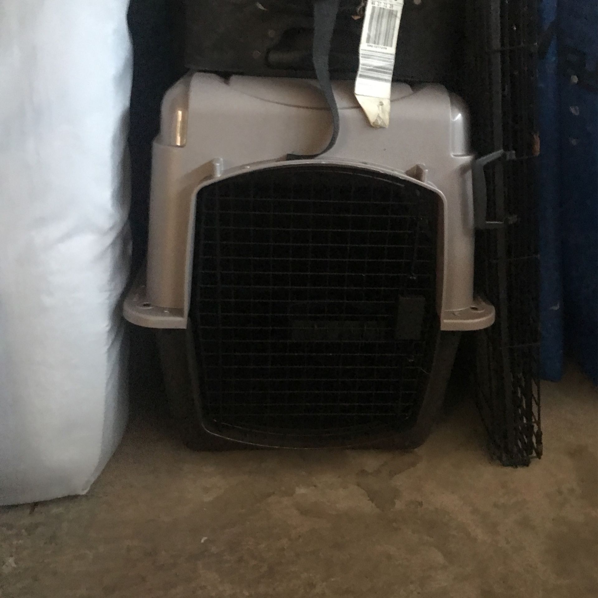 Dog crate
