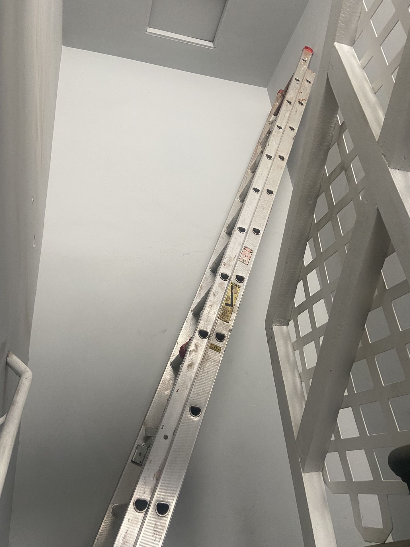 30’ Ladder