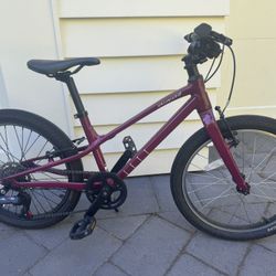 Specialized Jett 20 (Kid’s Bike)