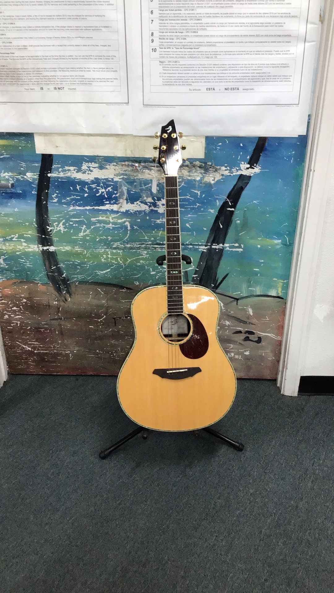 Breedlove Acoustic Guitars AD/20 SR Plus With Hardshell Case & Strap