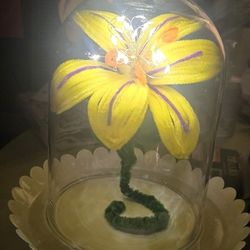 Rapunzel Flowers & Lanterns