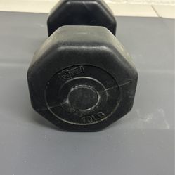 Series•8 Fitness 10 lbs Dumbbell Only 1 