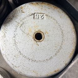 Standard Plate Set With Curl Bar