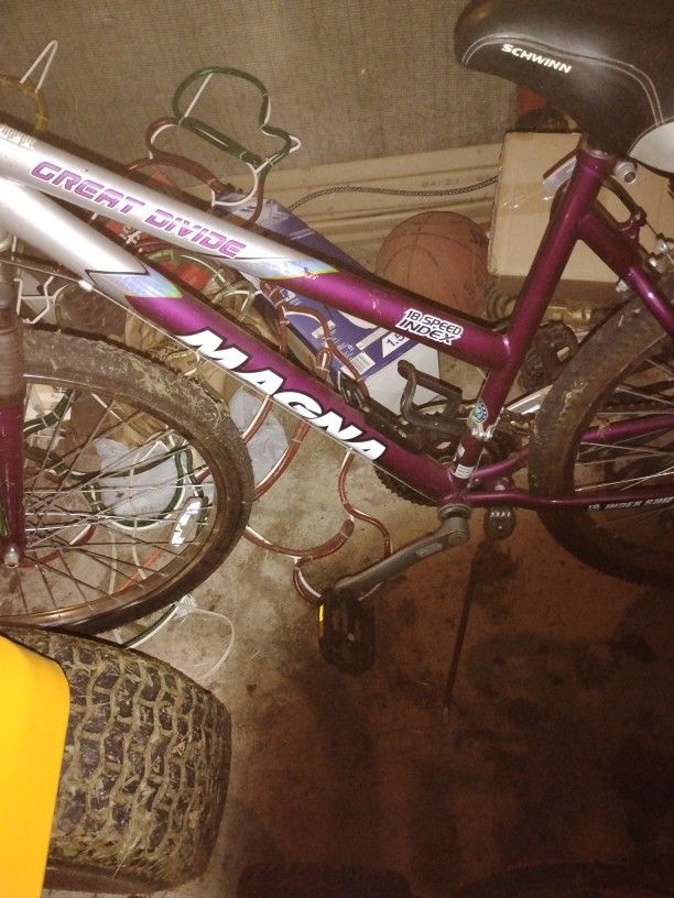 Magna 18 Speed Bike