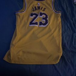 LeBron James Jersey (Size M)