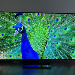 LG OLED 