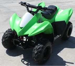 2019 Kawasaki KFX 50