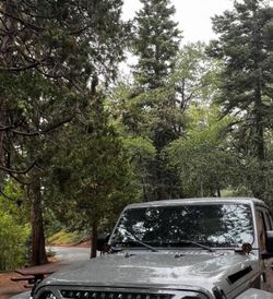 Jeep JL 2018 hood stock