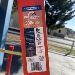 8ft Werner Ladder 