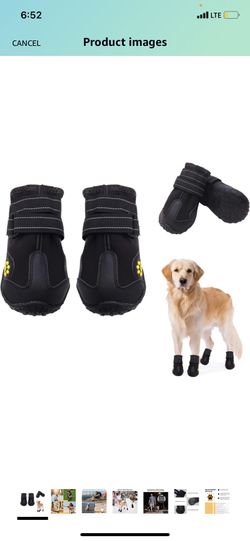 Dog Boot