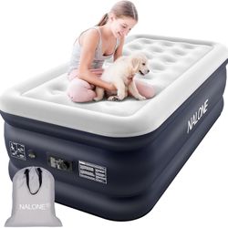 Air Mattress With Built In Pump 