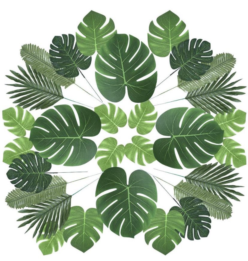 Different Kinds Of Leaves For Decor 