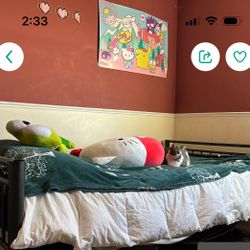 Twin Size Metal Frame Bed -No Screws Required 