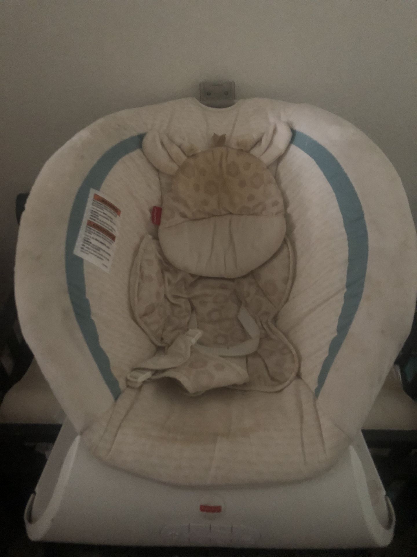 Baby Rocker