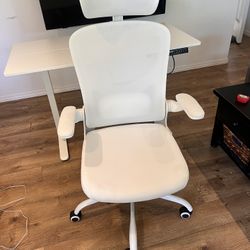 Motorized Desk, Desk Chair, Desk Light Combo