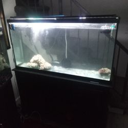 50 Gallon Fish Tank And Stand Complete Set Up