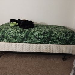 Sealy Posturepedic Green Hurst Plush Twin Mattress And Box Springs Everything 