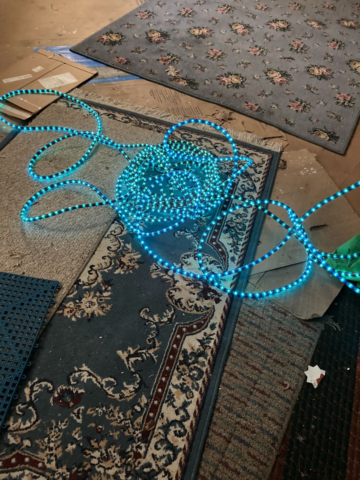 100 Ft. Blue LED Rope Outdoor Lights