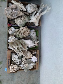 Fish tank rock for saltwater