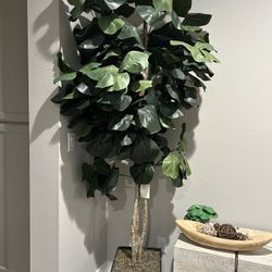 Large Fake Plant 