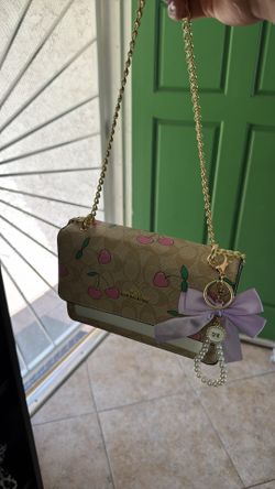 Bolso