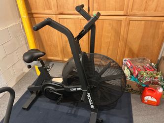 Rogue Echo Bike