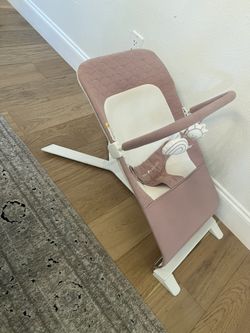 Baby Delight Bouncer