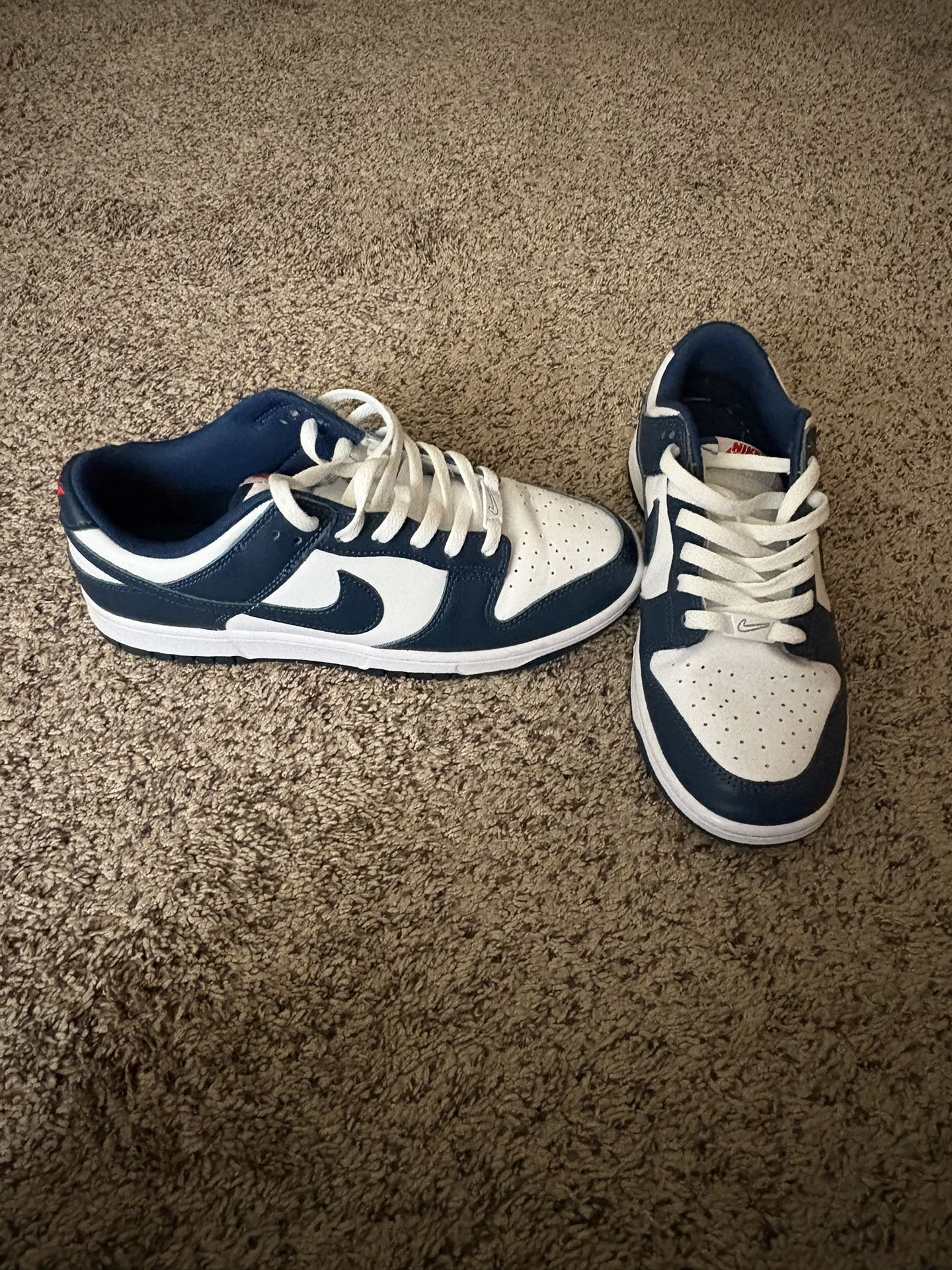 Blue nike Low Dunks