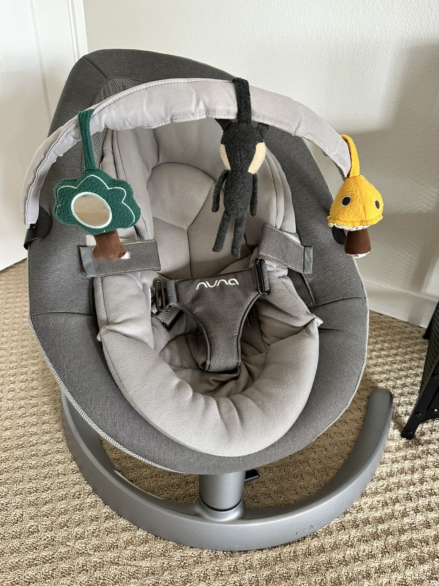 Nuna Leaf baby to toddler