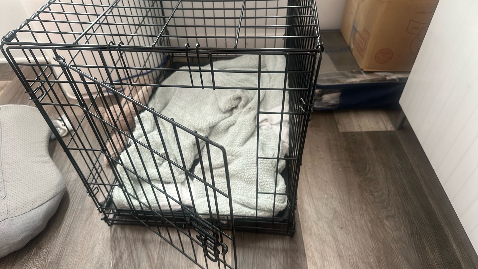 medium dog crate