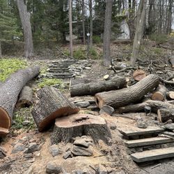 Free Firewood 