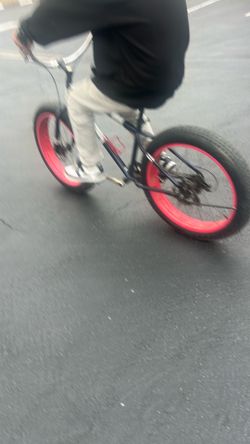 mongoose