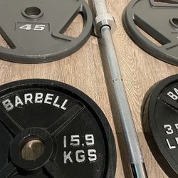Set Of Olympic Weight Plates Plus 7 ft (45lbs) Barbell  [Steel/Cast Iron: 275 lbs]