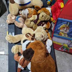 All The Bears For $20