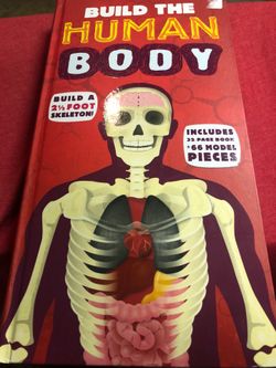 Build the human body