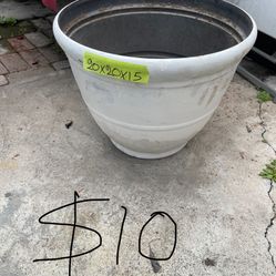 Excellent Condition, Pots  And Succulent Plants