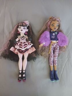 Two monster High doll's with all there accessories...Draculaura and Clawdeen wolf.