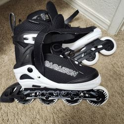 Roller Blades 