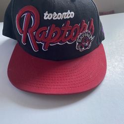 Toronto Raptors SnapBack 