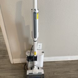 Electric vacuum cleaner