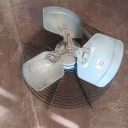 Ac  Fan  
