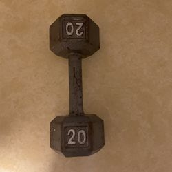 One 20lb Hex Dumbell 