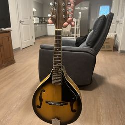Johnson MA-100 Mandolin
