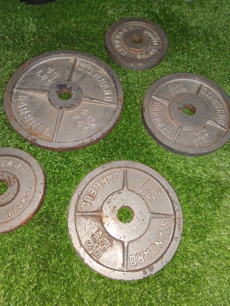 Olympic Standard Barbell.weights