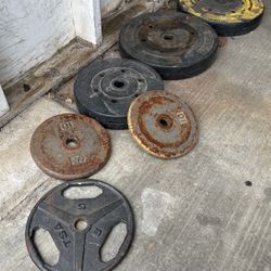 Bench Plates/ Weights